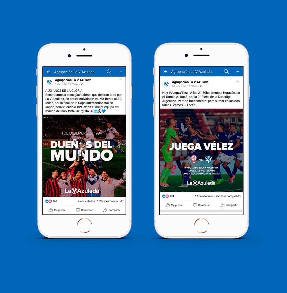 Campaña La V Azulada